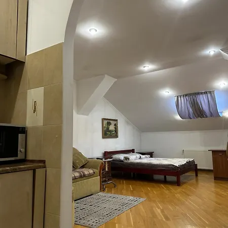 Apartment Kostyushka *