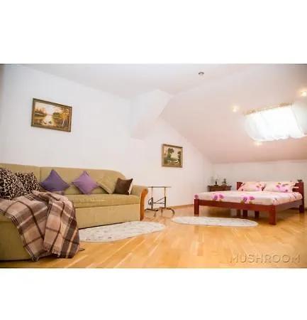 Apartment Kostyushka Lemberg