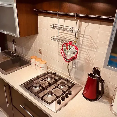 Kostyushka Apartment *