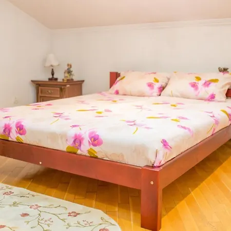 Apartment Kostyushka