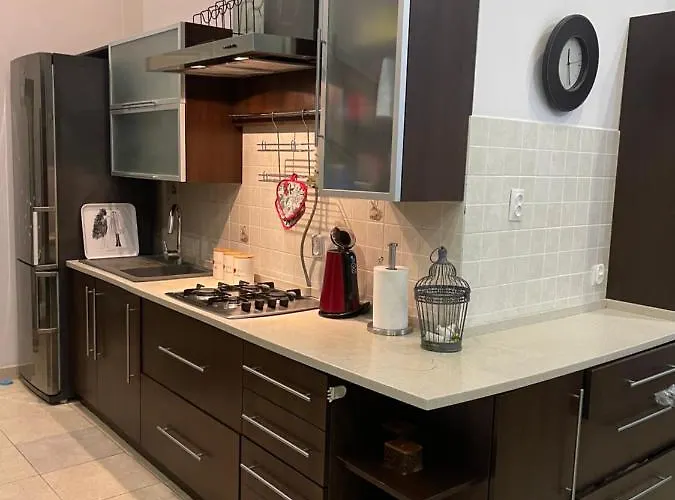 Apartment Kostyushka Lemberg