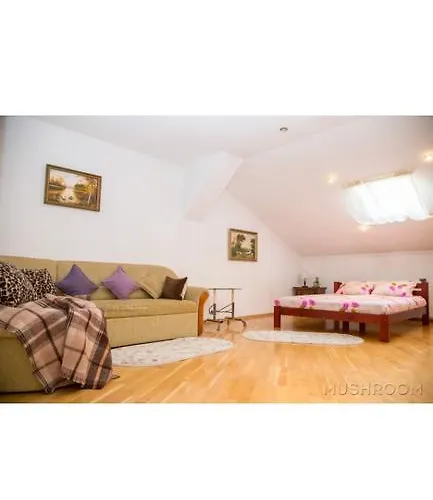 Apartment Kostyushka Lemberg